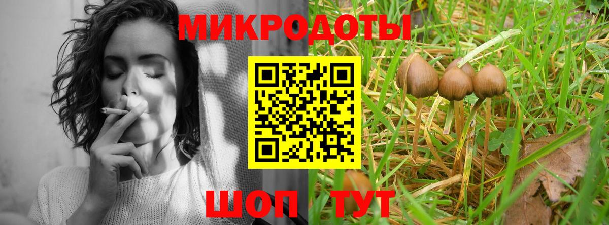 Галлюциногенные грибы GOLDEN TEACHER Дагестанские Огни