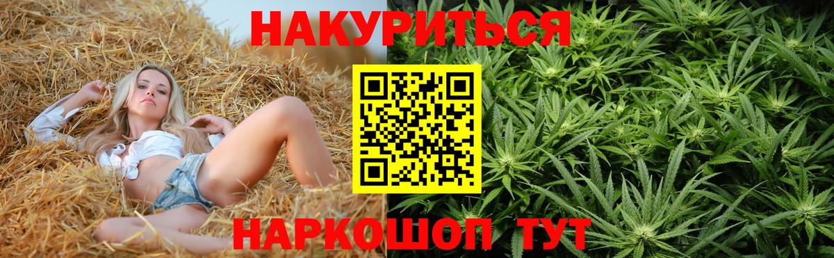 Марихуана планчик Дагестанские Огни